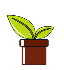 گل های آپارتمانی